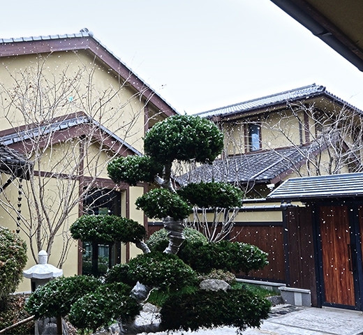 548m² 辽宁，联排别墅