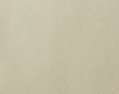 Conventional leather surface