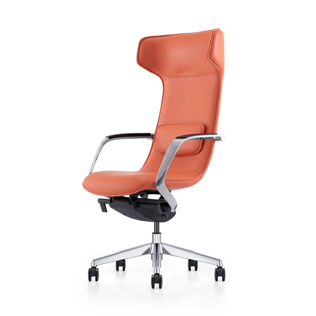 Dolphin Chair